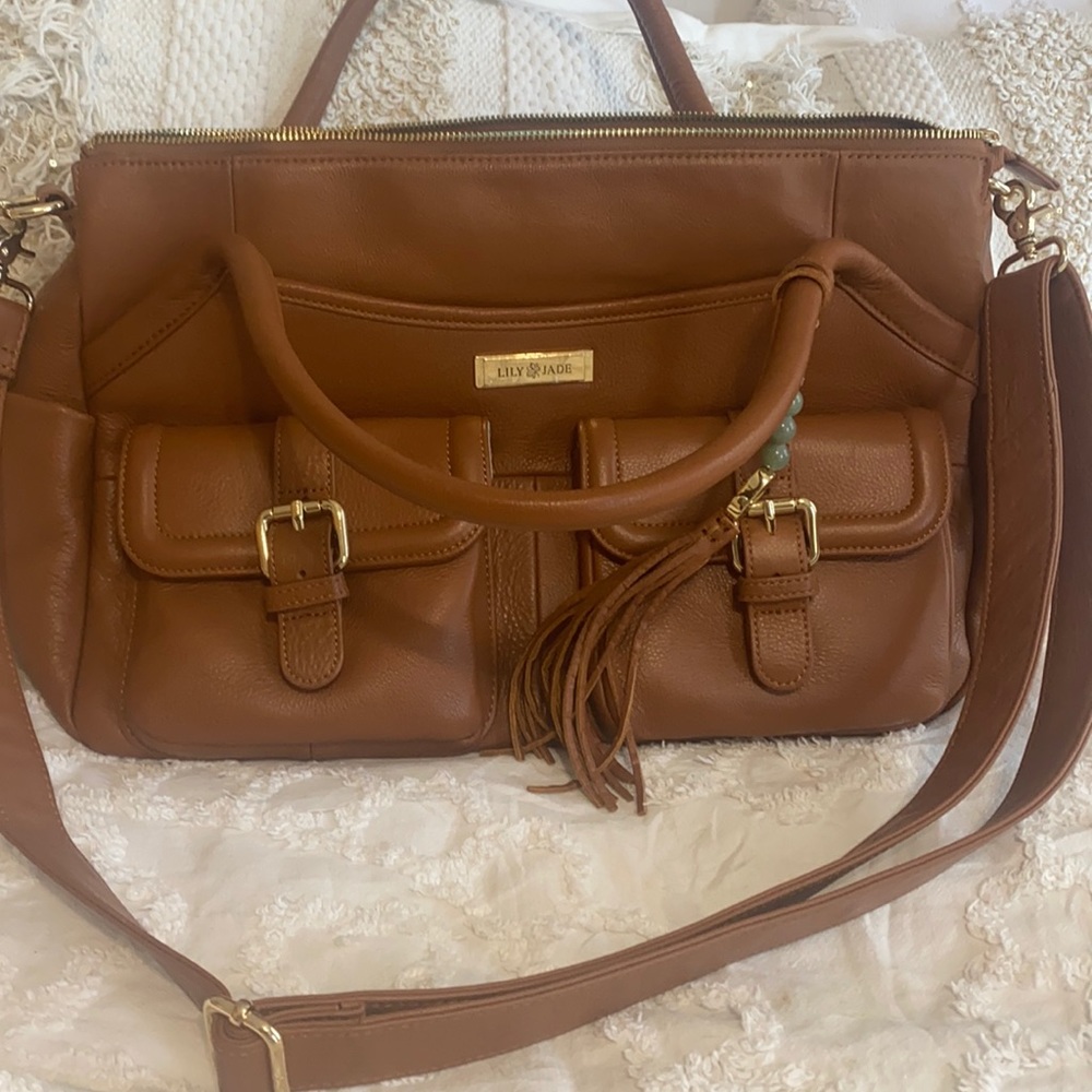 Lily Jade Elizabeth bag. With organizer.